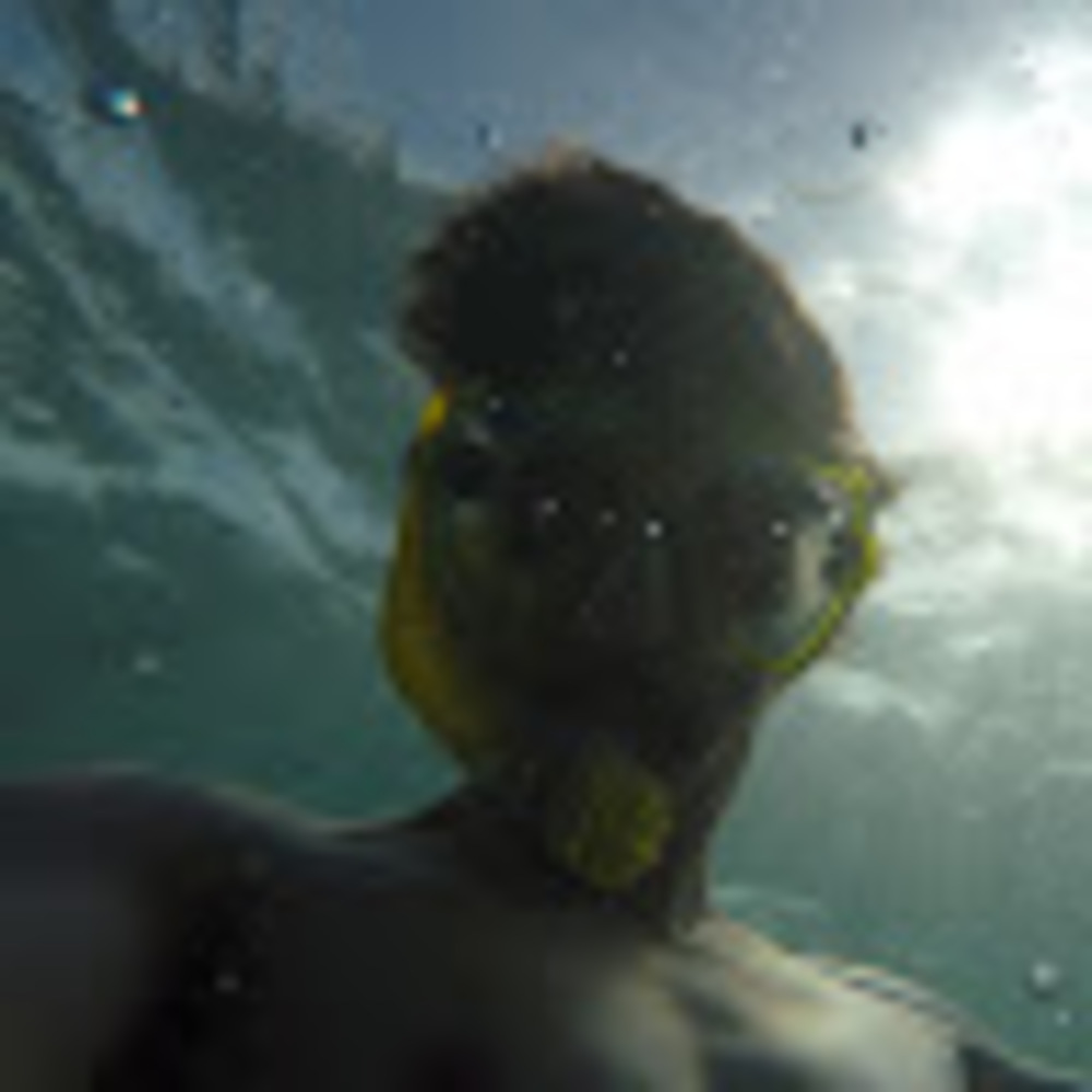 Meet your Posher, Alex